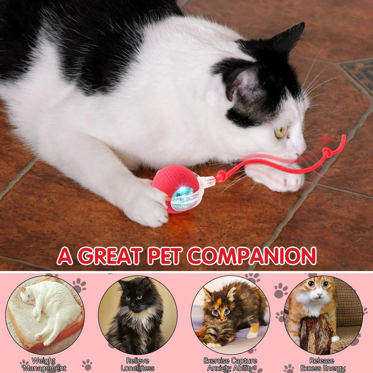 Smart Cat Toy Ball